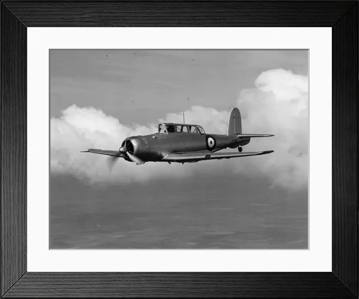 Framed Print : Blackburn B-24 Skua II L2951 Framed Print : Blackburn B-24 Skua II L2951