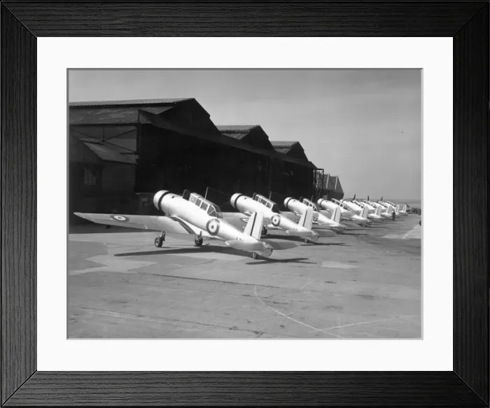 Framed Print : Blackburn B-24 Skua IIs Framed Print : Blackburn B-24 Skua IIs