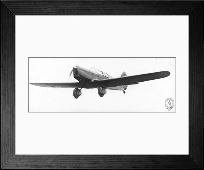 Framed Print : Percival Gull Framed Print : Percival Gull