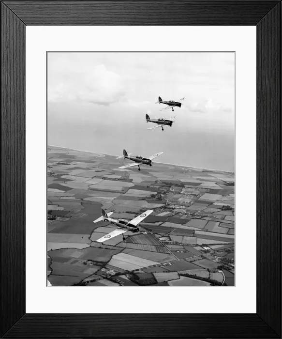 Framed Print : de Havilland Canada DHC1 Chipmunks Framed Print : de Havilland Canada DHC1 Chipmunks