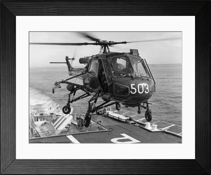 Framed Print : Westland Wasp HAS1 XT421 Framed Print : Westland Wasp HAS1 XT421