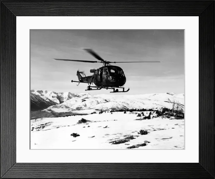 Framed Print : Westland Scout AH1 of 653 Squadron Army Air Corps