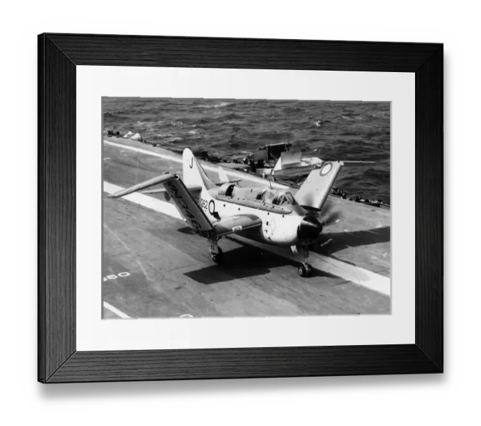 Framed Print : Fairey Gannet AS1 WN346 Framed Print : Fairey Gannet AS1 WN346