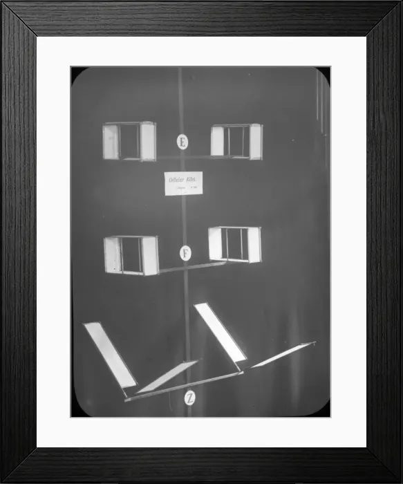 Framed Print : Further evolution of the cellular kite Framed Print : Further evolution of the cellular kite