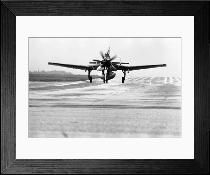 Framed Print : Fairey Gannet AEW3 Framed Print : Fairey Gannet AEW3