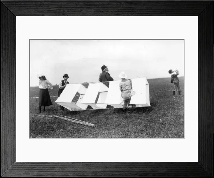 Framed Print : S H R Salmons multiple celled rhomboidal kite Framed Print : S H R Salmons multiple celled rhomboidal kite