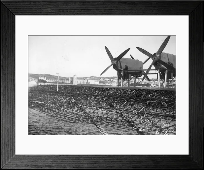 Framed Print : Dornier DoX port wing following a fire Framed Print : Dornier DoX port wing following a fire
