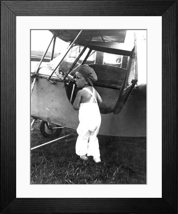 Framed Print : Mignet Flying Flea Framed Print : Mignet Flying Flea