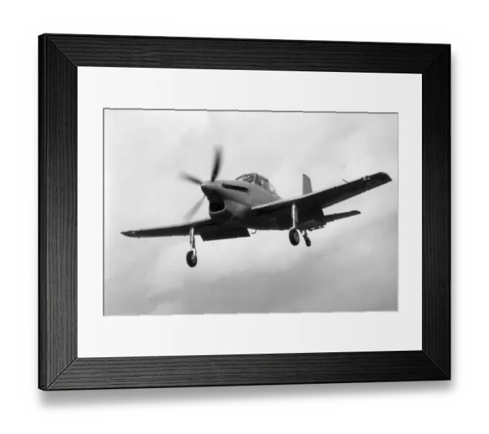 Framed Print : Boulton Paul Sea Balliol T21 Framed Print : Boulton Paul Sea Balliol T21