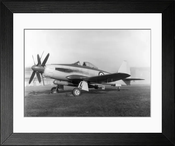 Framed Print : The Rolls Royce Eagle-powered Westland Wyvern TF1 Framed Print : The Rolls Royce Eagle-powered Westland Wyvern TF1