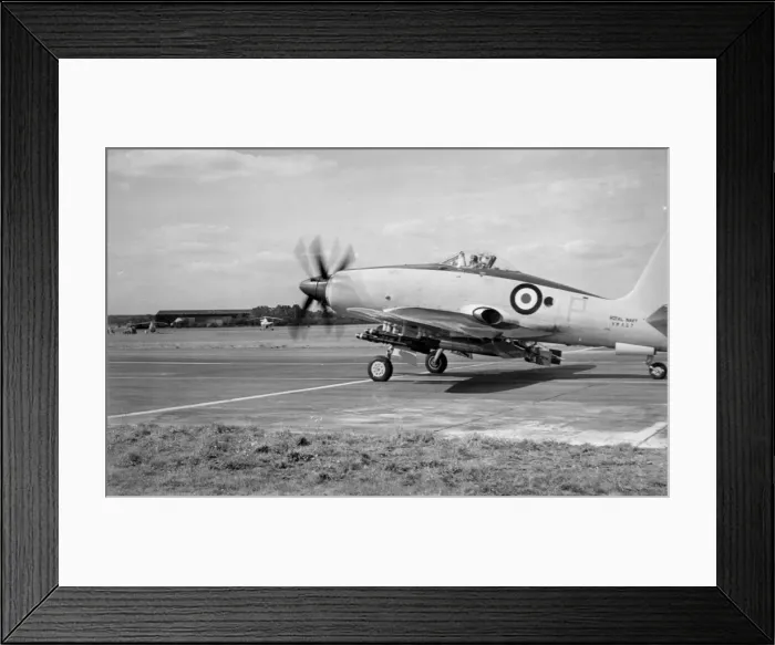 Framed Print : Westland Wyvern TF2 VW867 Framed Print : Westland Wyvern TF2 VW867