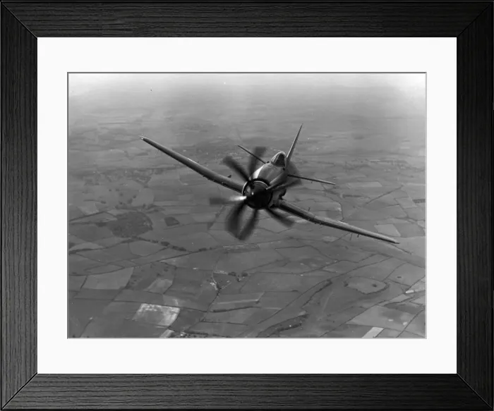 Framed Print : Westland Wyvern Framed Print : Westland Wyvern