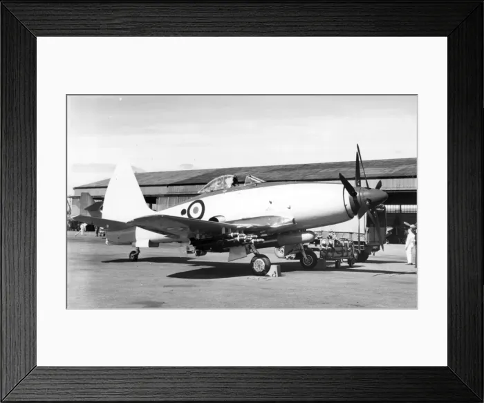 Framed Print : Westland Wyvern Framed Print : Westland Wyvern