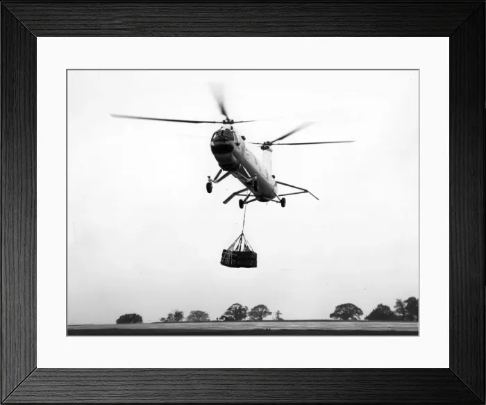 Framed Print : Westland Belvedere XG459 Framed Print : Westland Belvedere XG459