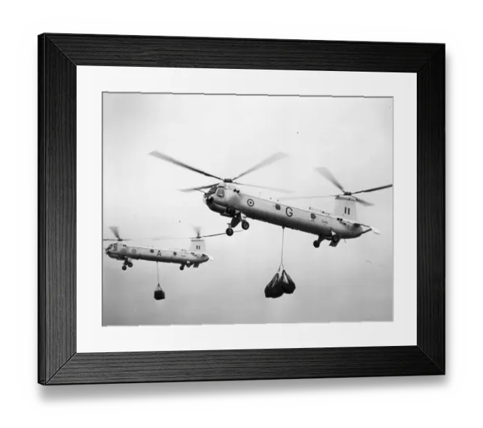 Framed Print : Westland Belvederes XG459 and XG461 Framed Print : Westland Belvederes XG459 and XG461