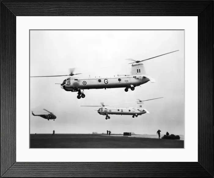 Framed Print : Westland Belvederes XG459 and XG461 Framed Print : Westland Belvederes XG459 and XG461