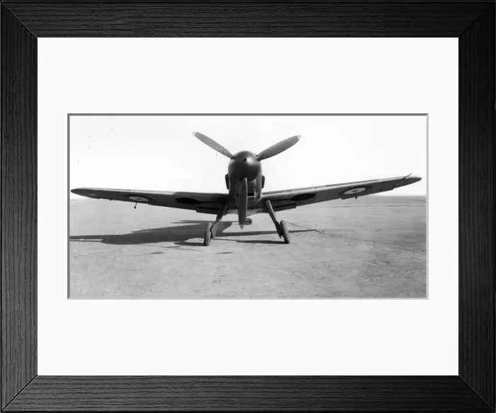 Framed Print : Captured Messerschmitt Bf109F Framed Print : Captured Messerschmitt Bf109F