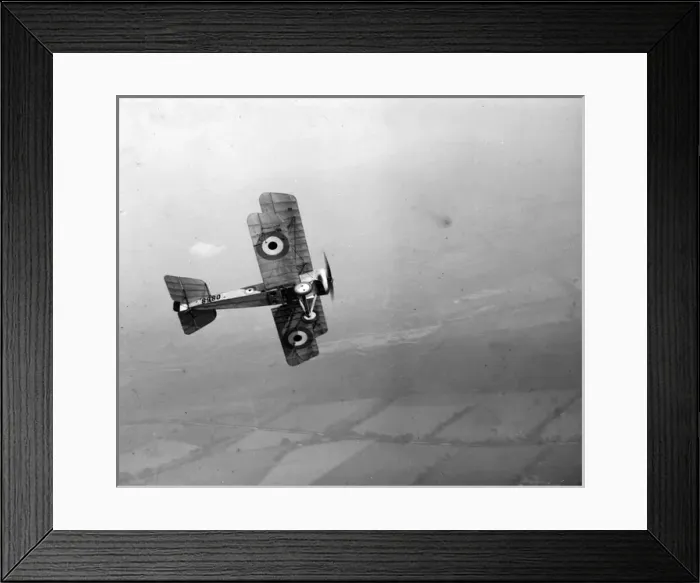 Framed Print : Bristol Scout D 8980 Framed Print : Bristol Scout D 8980