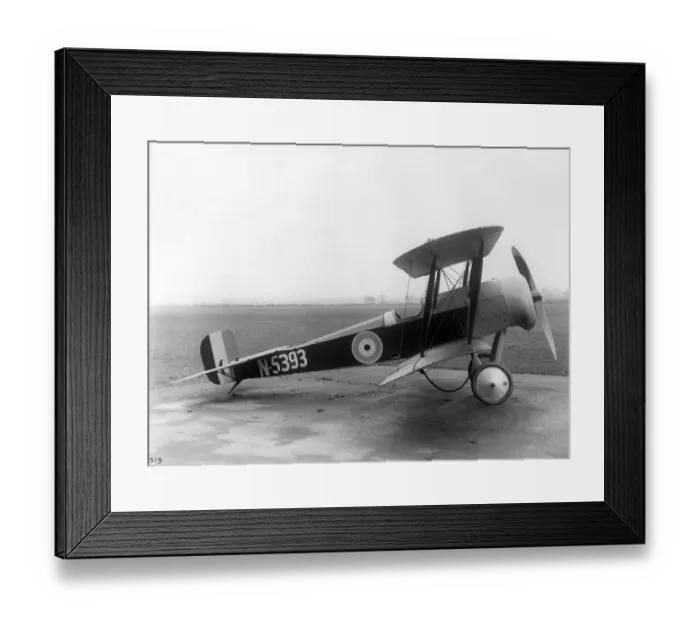 Framed Print : Bristol Scout D N5393 Framed Print : Bristol Scout D N5393