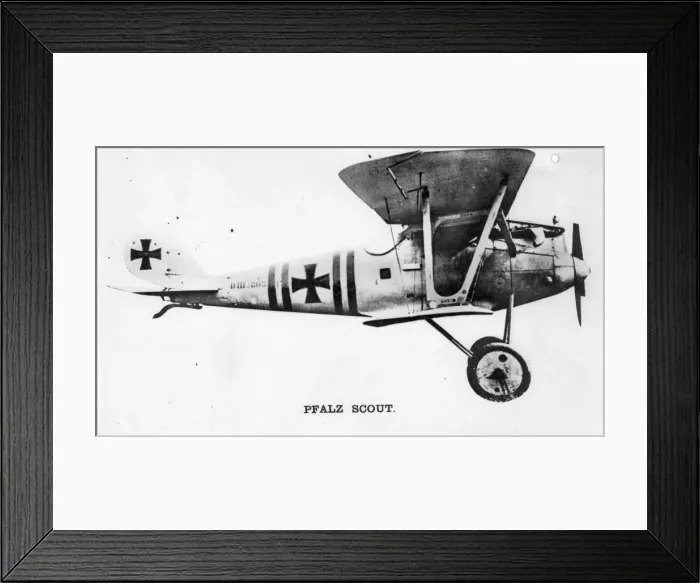 Framed Print : Pfalz DIII Framed Print : Pfalz DIII
