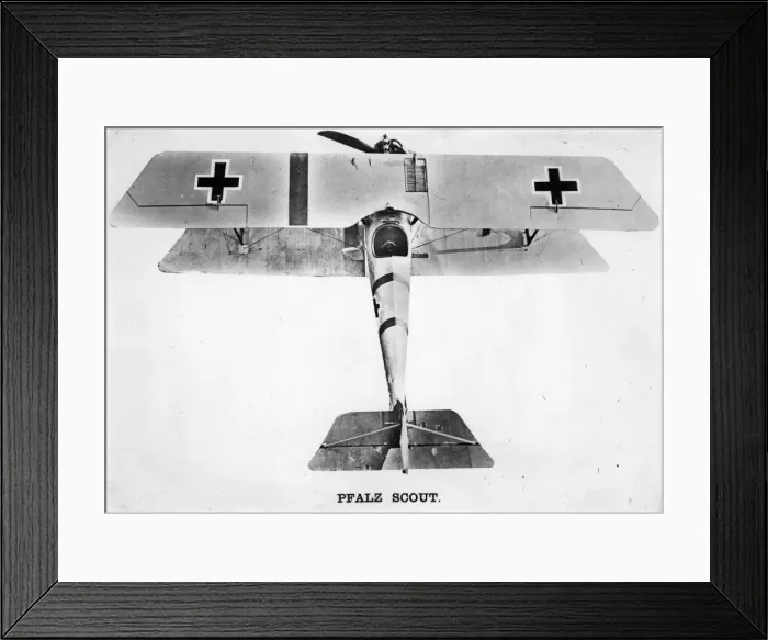 Framed Print : Pfalz DIII Framed Print : Pfalz DIII