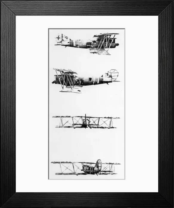Framed Print : A crashed Pfalz DXII reconstructed Framed Print : A crashed Pfalz DXII reconstructed