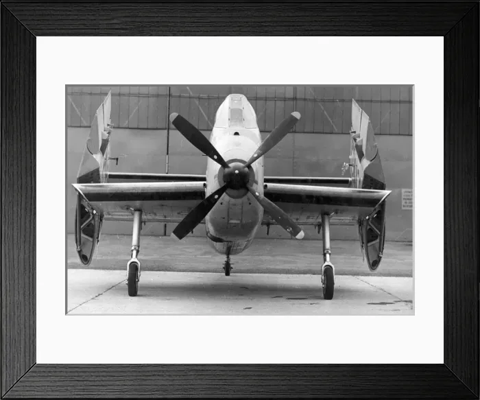 Framed Print : Short SB6 Seamew Framed Print : Short SB6 Seamew