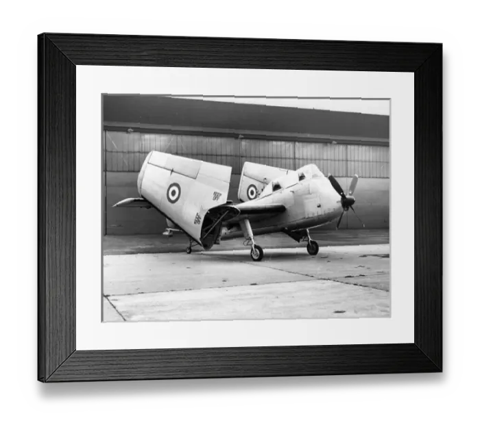 Framed Print : Short SB6 Seamew Framed Print : Short SB6 Seamew