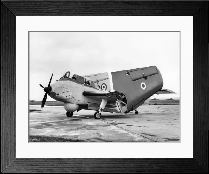 Framed Print : Short SB6 Seamew