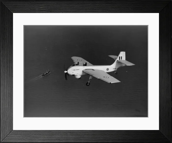 Framed Print : The first Short SB6 Seamew XA209 Framed Print : The first Short SB6 Seamew XA209