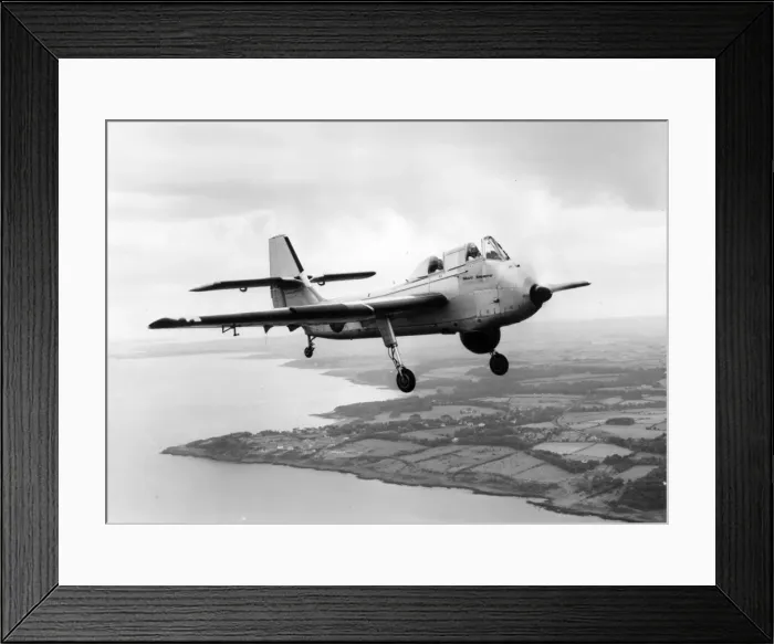 Framed Print : Short SB6 Seamew Framed Print : Short SB6 Seamew