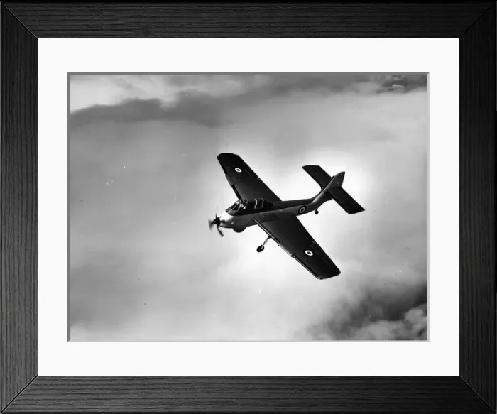 Framed Print : Short SB6 Seamew Framed Print : Short SB6 Seamew