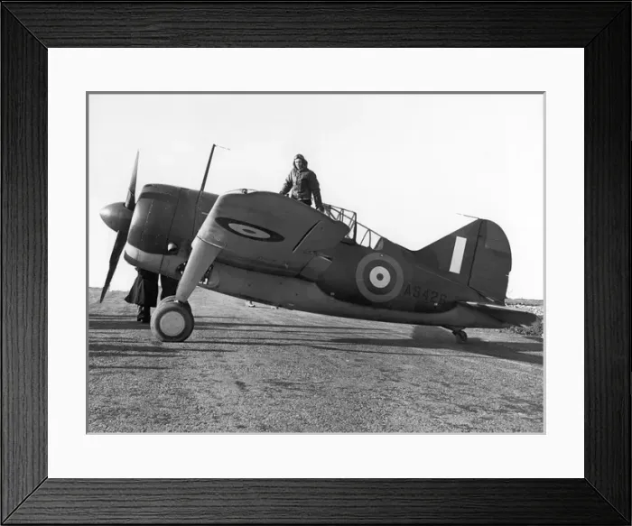 Framed Print : Brewster Buffalo I AS426 Framed Print : Brewster Buffalo I AS426