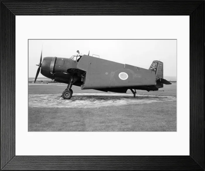 Framed Print : Grumman Avenger with folded wings Framed Print : Grumman Avenger with folded wings
