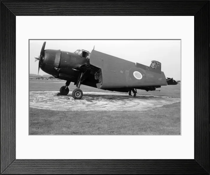 Framed Print : Grumman Avenger with folded wings Framed Print : Grumman Avenger with folded wings