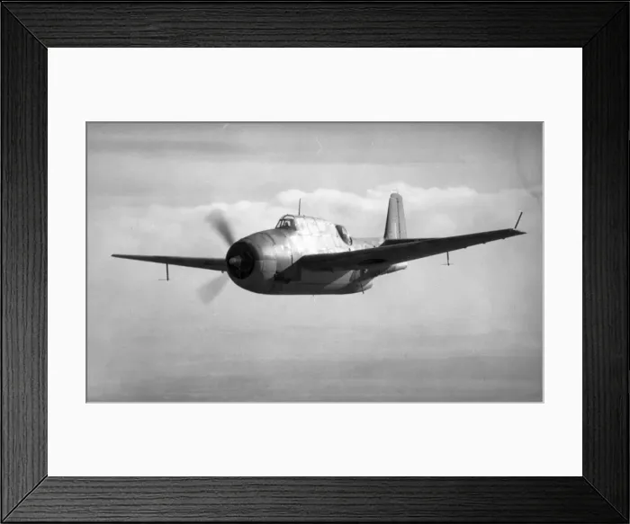 Framed Print : Grumman Avenger Framed Print : Grumman Avenger