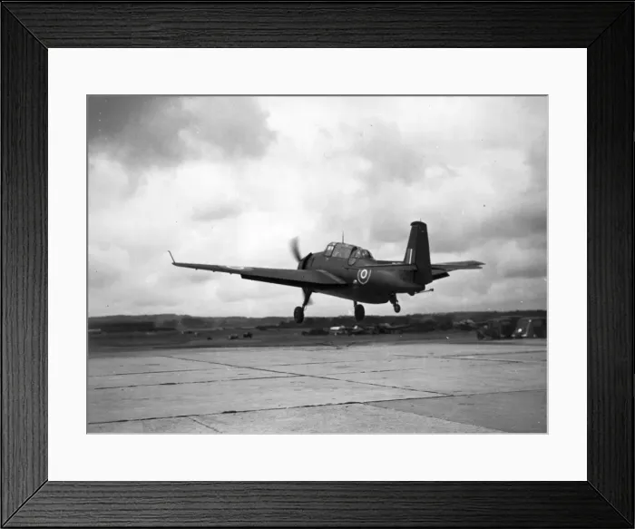 Framed Print : Grumman Avenger Framed Print : Grumman Avenger