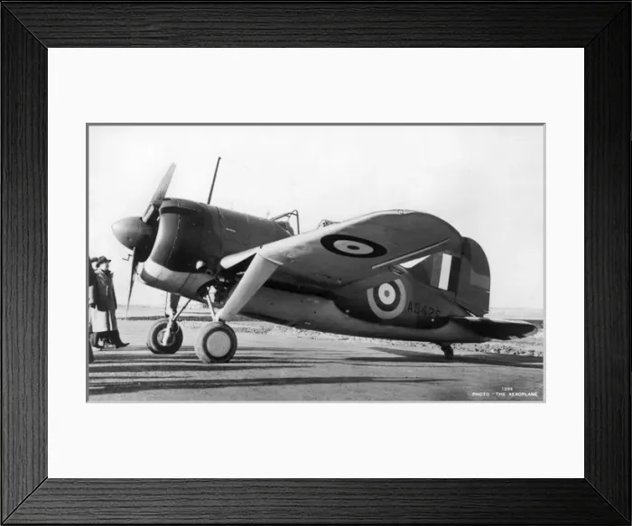 Framed Print : Brewster Buffalo I AS426 Framed Print : Brewster Buffalo I AS426