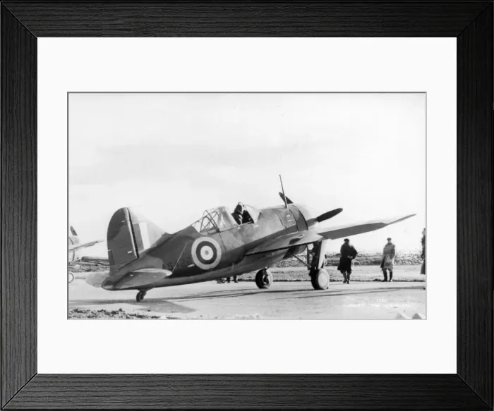 Framed Print : Brewster Buffalo I AS426 Framed Print : Brewster Buffalo I AS426