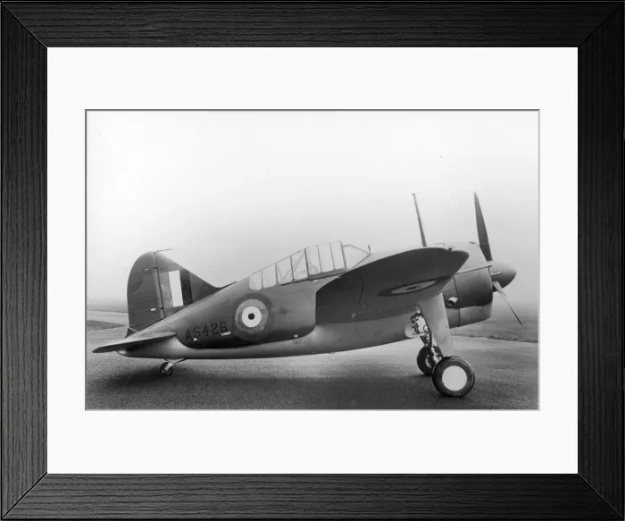 Framed Print : Brewster Buffalo I AS426 Framed Print : Brewster Buffalo I AS426
