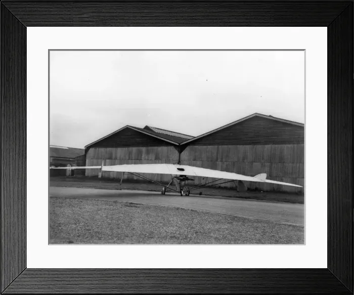 Framed Print : Hill Pterodactyl I J8067 Framed Print : Hill Pterodactyl I J8067