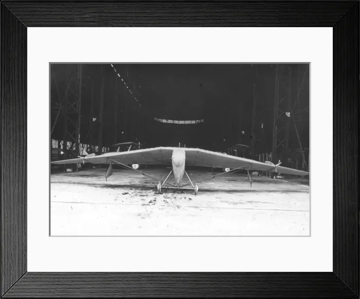 Framed Print : Hill Pterodactyl I J8067 Framed Print : Hill Pterodactyl I J8067