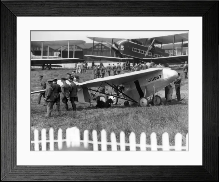 Framed Print : Hill Pterodactyl I J8067 Framed Print : Hill Pterodactyl I J8067