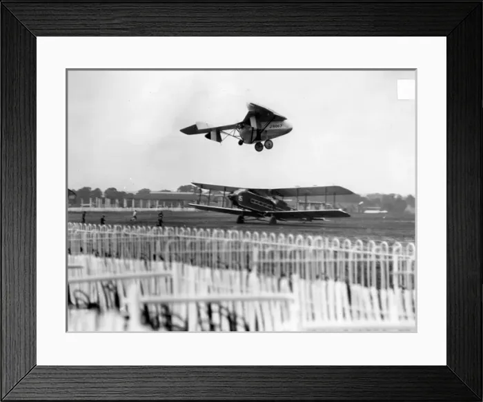 Framed Print : Hill Pterodactyl I J8067 Framed Print : Hill Pterodactyl I J8067