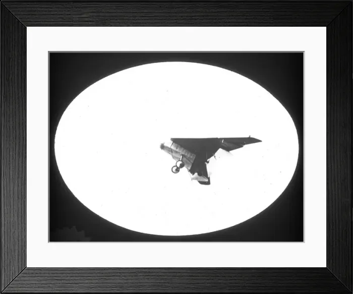 Framed Print : Hill Pterodactyl I J8067 Framed Print : Hill Pterodactyl I J8067