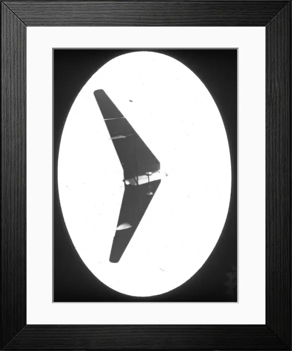 Framed Print : Hill Pterodactyl I J8067 Framed Print : Hill Pterodactyl I J8067