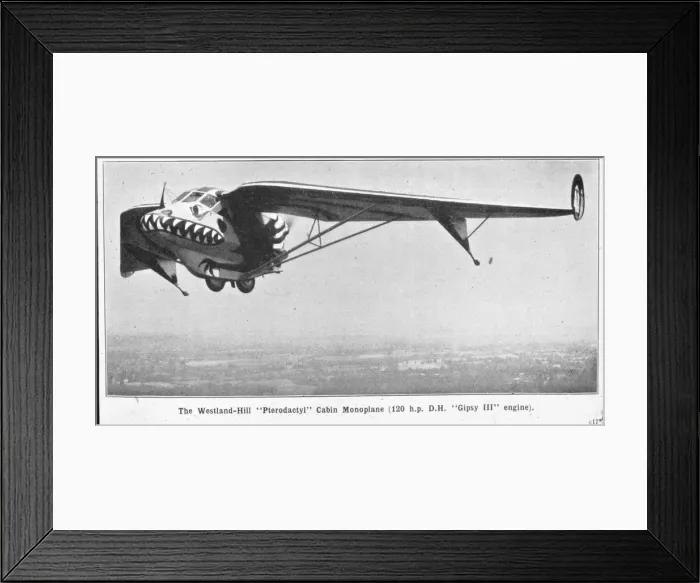 Framed Print : Westland-Hill Pterodactyl IV K1947 Framed Print : Westland-Hill Pterodactyl IV K1947