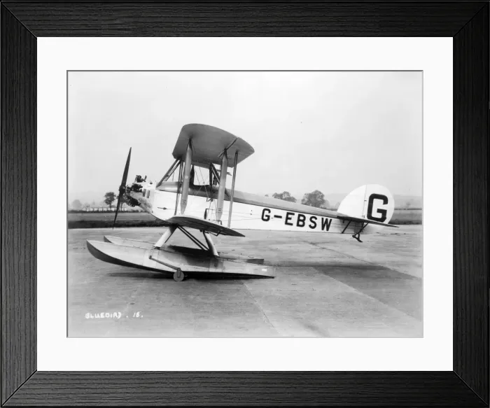 Framed Print : Blackburn L1A Bluebird II G-EBSW Framed Print : Blackburn L1A Bluebird II G-EBSW