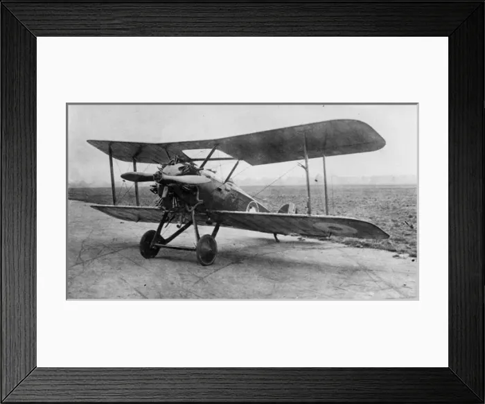 Framed Print : Westland Wagtail J6582 Framed Print : Westland Wagtail J6582