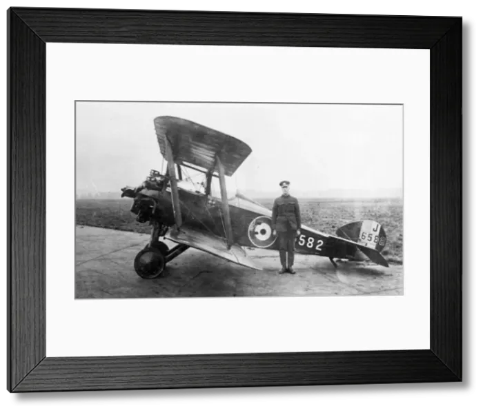 Framed Print : Westland Wagtail J6582
